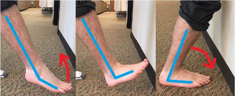💥Increase Ankle Dorsiflexion💥 🧠Ankle mobility refers to the flexibility  of the ankle joint and its surrounding muscles and tend